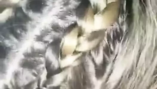 Sürtük harika bir oral seks verir ve köpek becerdin alır