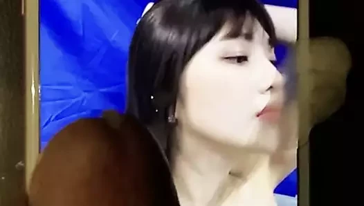 Redvelvet sevinç cumtribute