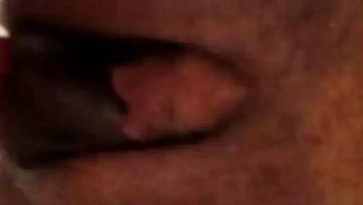 seksi ocak alanları