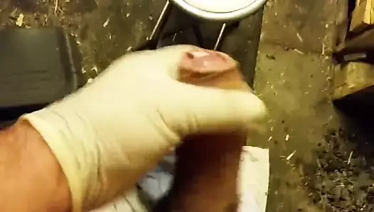 Cum içinde benim garaj