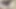 Porno yıldızı yarak alıyor