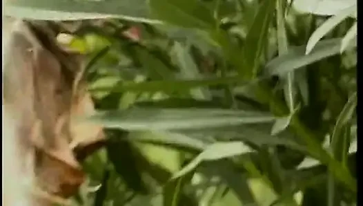 Azgın büyük memeli sarışın orta yaşlı seksi kadın açık havada sert sikiliyor