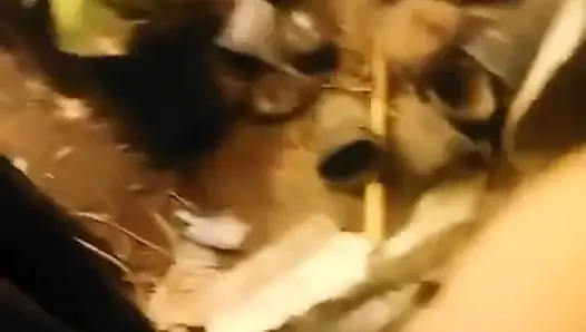 Derleme - bölüm 14