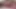 Tyler Tori'nin ilk porno yolculuğuna çıkıyor