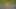kamu içinde kedi oyunu