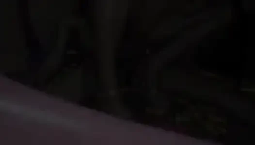Hintli genç aşıklar seks yapıyor