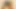 Indian desi  stepsister  fucked by young amateur stepbrother in doggy style full Hindi audio pov porn