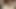 Esmer kadın büyük bir dildo ve amıyla oynuyor ama götünde gerçek bir yarağı tercih ediyor