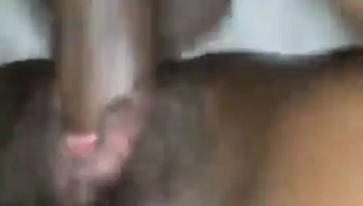 Desi sıcak bhabi seks