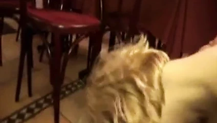 gangbanging christiana, bir fransız olgun içinde çorap