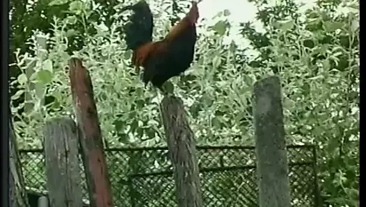 azgın horoz emme adam alır göt perişan süre lanet bir sıcak kaltak üzerinde the çim