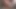Uk amatör marc mcaulay ve matt coxks raw cins sonra bj