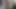 Siyah tavşanı çok sert siktim