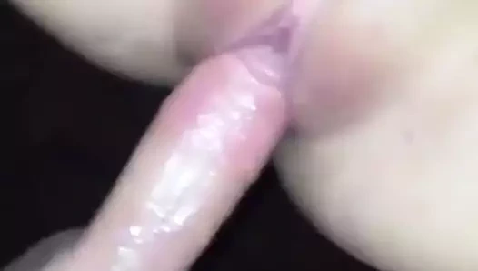 ıslak KEDİ kahrolası