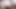 Beyaz homo göt almak krem ​​itibaren büyük siyah horoz tarafından 666kronos666
