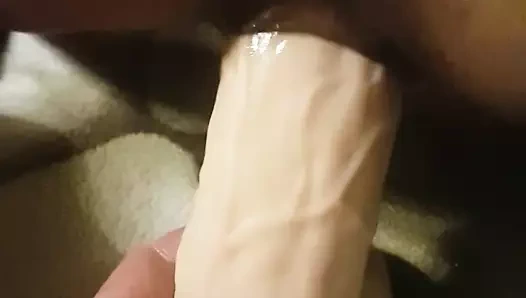 Benim kedi gerçek büyük horoz diliyorum!