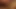 porno yıldızları: marilyn yıldızı