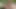 Tushy aldatan kızıl saçlı Megan Longoria iyi bir anal sikişe karşı koyamıyor