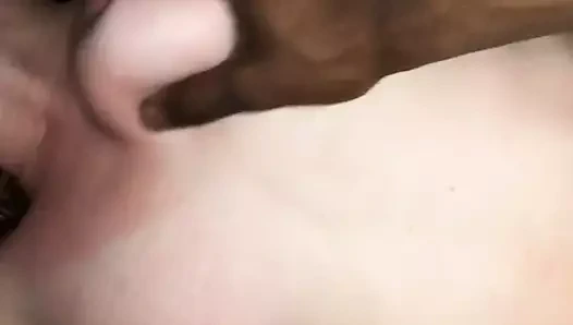 Kahrolası bir sıkı zencefil kedi