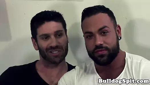 Muscle ayı barebacked ve iğne yapmak tarafından büyük horoz