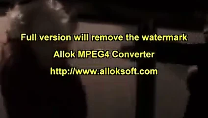 mutlu tanrıça tatilleri