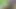 Rot mails video xix