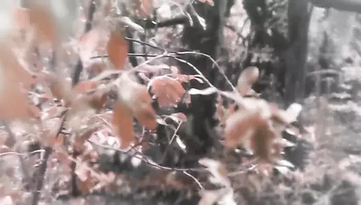 Asher Quinn'in ateşli bir rüyası var!