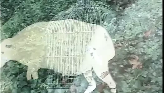 Gözlüklü seksi sürtük göt deliğini yarakla dolduruyor sonra damızlık yüzüne boşaltıyor