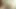 Smalltitted üvey kız Cocksucking adım baba pov