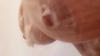 Bigdaddysgirl71 - sabunlu göğüsler