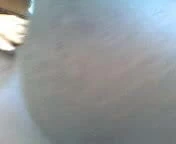 Erkek ve dişi rastalar hala kahrolası