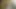 Dogimaster'ın gerçek hikayesi oyuncu seçmeleri kız podcast'i ve Hintli endüstrilerde gerçeklik