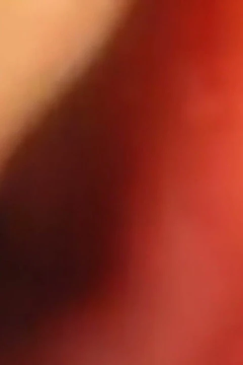 İçime turuncunun yolculuğu
