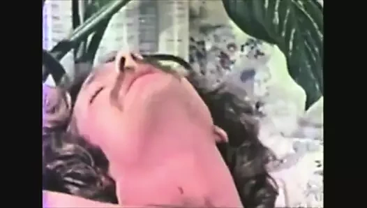 şehvetli bayanlar (koleksiyon)