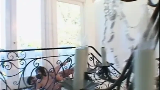 Bilinmesi gereken bir kedi