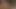 ölçülü twink alır oral seks ve handjob itibaren usta