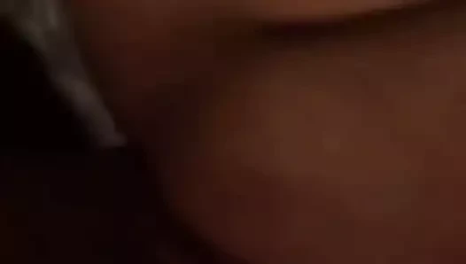 Yakın yukarı kedi lanet ve titreşimli orgazm