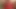 Slutty brunette gives head and gets her tight asshole fucked