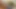 Jem stone ve lolly badcock'un fotoğraflarını çekmek