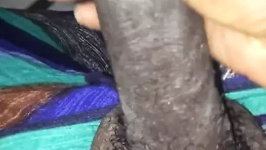 Fil hortumunu okşayarak