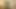 Ateşli ve seksi genç lezbiyenler birbirlerinin amını yalıyor