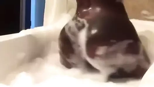 Küvette twerk yapmak