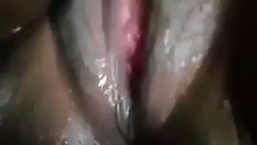 Sri lanka kız gösteren siyah kedi