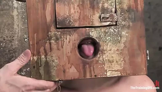 Harmony Rose'un eğitimi, iki. gün