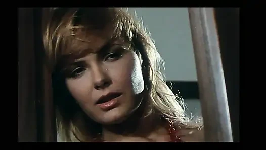 İtalyan klasik sarışın sert bir yarak emiyor ve amını siktiriyor