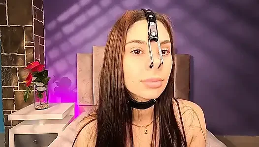 Arpone Pig Nose