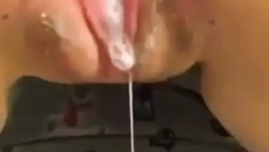 krem kedi