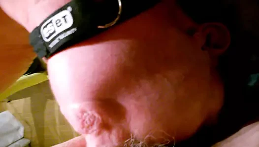 Bir alt sözlü test