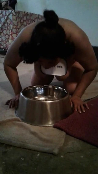 Sarkık köpek akşam yemeğini yiyor