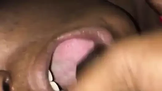 abanoz alıcı fındık